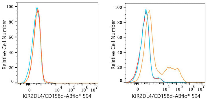 ABflo® 594 Rabbit anti-Human KIR2DL4/CD158d mAb