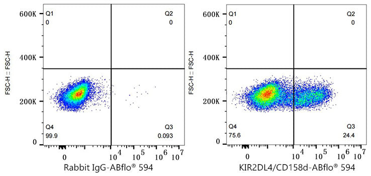 ABflo® 594 Rabbit anti-Human KIR2DL4/CD158d mAb