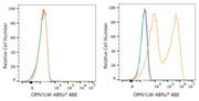 ABflo® 488 Rabbit anti-Human OPN1LW/OPN1MW mAb
