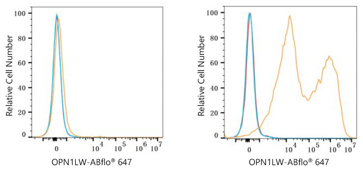 ABflo® 647 Rabbit anti-Human OPN1LW/OPN1MW mAb