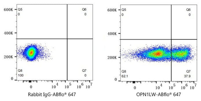 ABflo® 647 Rabbit anti-Human OPN1LW/OPN1MW mAb