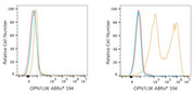 ABflo® 594 Rabbit anti-Human OPN1LW/OPN1MW mAb