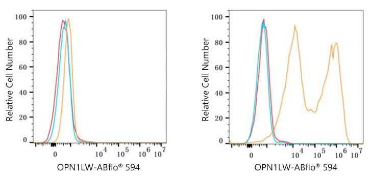 ABflo® 594 Rabbit anti-Human OPN1LW/OPN1MW mAb