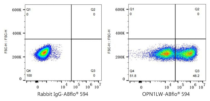 ABflo® 594 Rabbit anti-Human OPN1LW/OPN1MW mAb