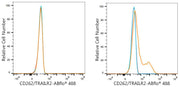 ABflo® 488 Rabbit anti-Mouse CD262/TRAILR2 mAb
