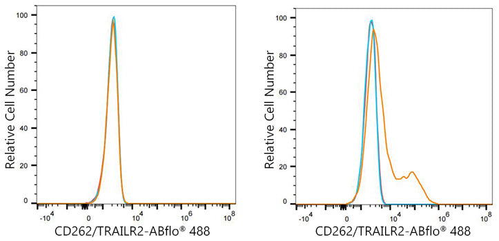 ABflo® 488 Rabbit anti-Mouse CD262/TRAILR2 mAb