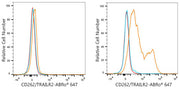 ABflo® 647 Rabbit anti-Mouse CD262/TRAILR2 mAb