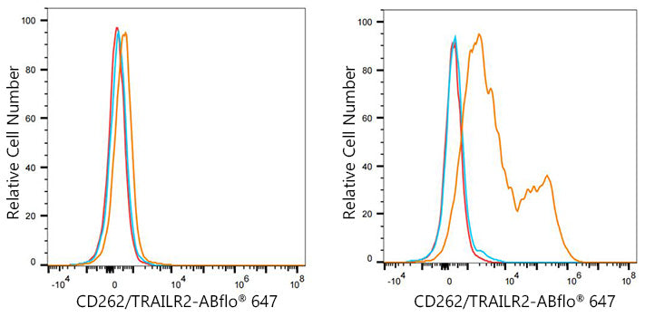 ABflo® 647 Rabbit anti-Mouse CD262/TRAILR2 mAb