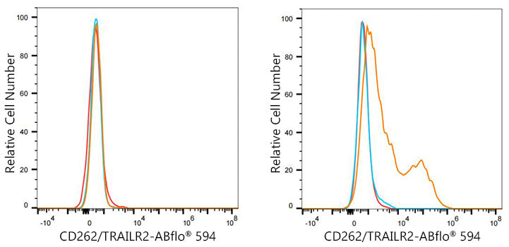 ABflo® 594 Rabbit anti-Mouse CD262/TRAILR2 mAb