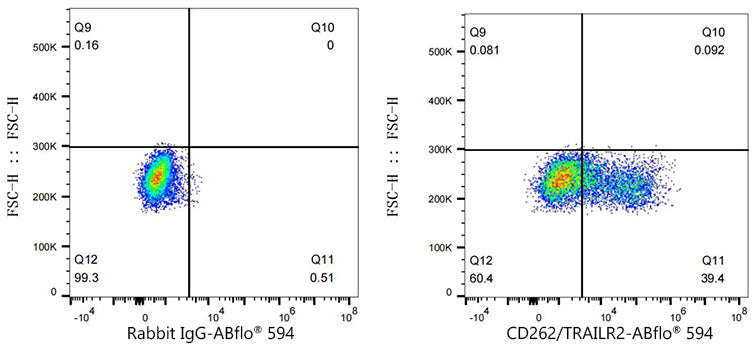 ABflo® 594 Rabbit anti-Mouse CD262/TRAILR2 mAb