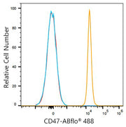 ABflo® 488 Rabbit anti-Mouse CD47 mAb