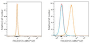 ABflo® 647 Rabbit anti-Human Flt3/CD135  mAb