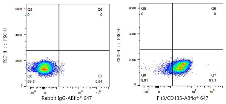 ABflo® 647 Rabbit anti-Human Flt3/CD135  mAb