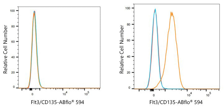 ABflo® 594 Rabbit anti-Human Flt3/CD135  mAb