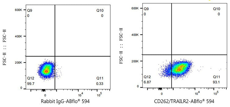 ABflo® 594 Rabbit anti-Human Flt3/CD135  mAb