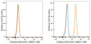 ABflo® 488 Rabbit anti-Human CD66a/CEACAM1 mAb
