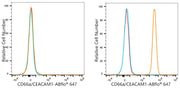 ABflo® 647 Rabbit anti-Human CD66a/CEACAM1 mAb