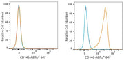 ABflo® 647 Rabbit anti-Mouse CD146 mAb