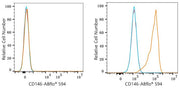 ABflo® 594 Rabbit anti-Mouse CD146 mAb
