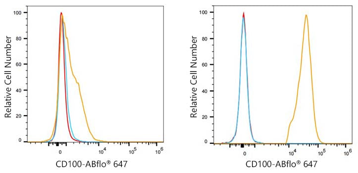 Semaphorin-4D/CD100 Rabbit mAb