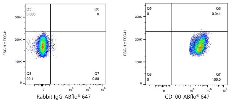 Semaphorin-4D/CD100 Rabbit mAb
