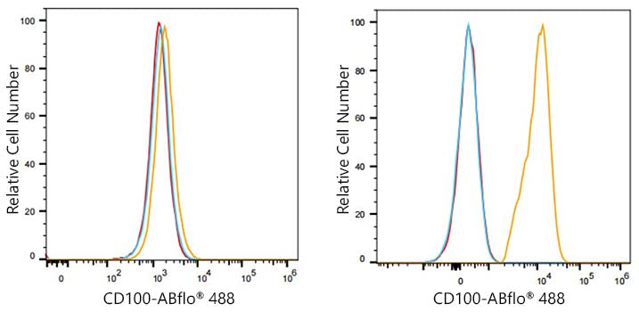 ABflo® 488 Rabbit anti-Human CD100/SEMA4D mAb