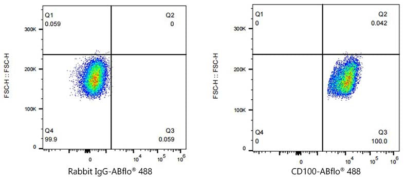 ABflo® 488 Rabbit anti-Human CD100/SEMA4D mAb