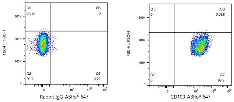 ABflo® 647 Rabbit anti-Human CD100/SEMA4D mAb