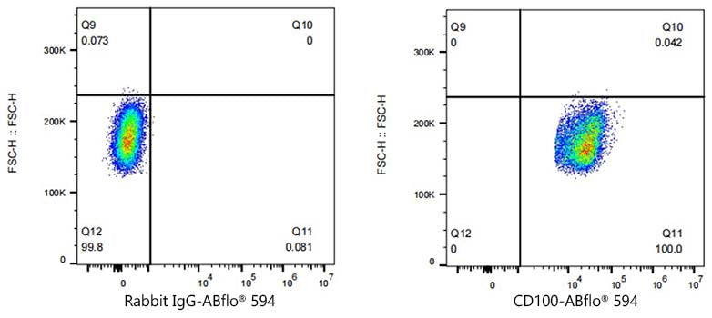 ABflo® 594 Rabbit anti-Human CD100/SEMA4D mAb
