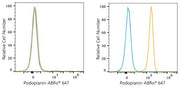ABflo® 647 Rabbit anti-Human Podoplanin mAb