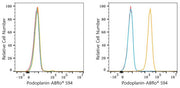 ABflo® 594 Rabbit anti-Human Podoplanin mAb