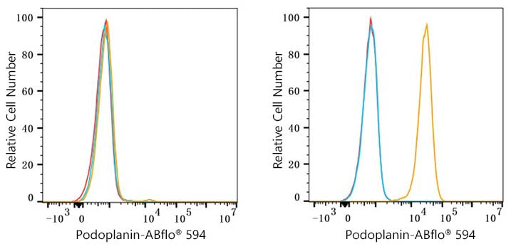 ABflo® 594 Rabbit anti-Human Podoplanin mAb