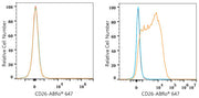 ABflo® 647 Rabbit anti-Human CD26/DPP4 mAb