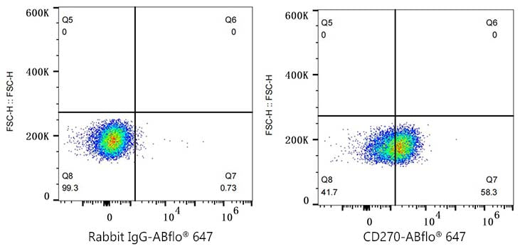 ABflo® 647 Rabbit anti-Human CD270/HVEM mAb
