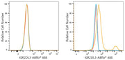 ABflo® 488 Rabbit anti-Human KIR2DL2/KIR2DL3 mAb