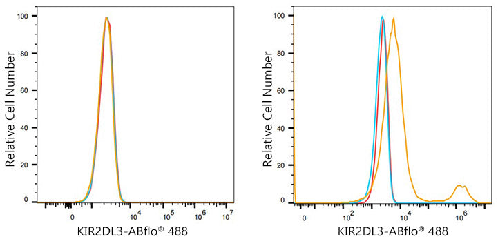 ABflo® 488 Rabbit anti-Human KIR2DL2/KIR2DL3 mAb