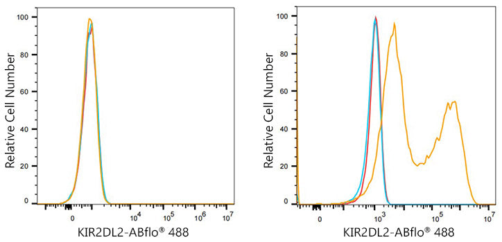 ABflo® 488 Rabbit anti-Human KIR2DL2/KIR2DL3 mAb