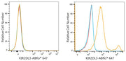 ABflo® 647 Rabbit anti-Human KIR2DL2/KIR2DL3 mAb