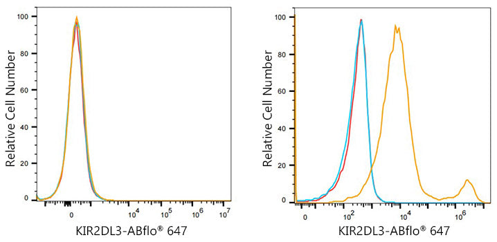 ABflo® 647 Rabbit anti-Human KIR2DL2/KIR2DL3 mAb