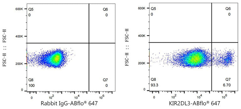 ABflo® 647 Rabbit anti-Human KIR2DL2/KIR2DL3 mAb