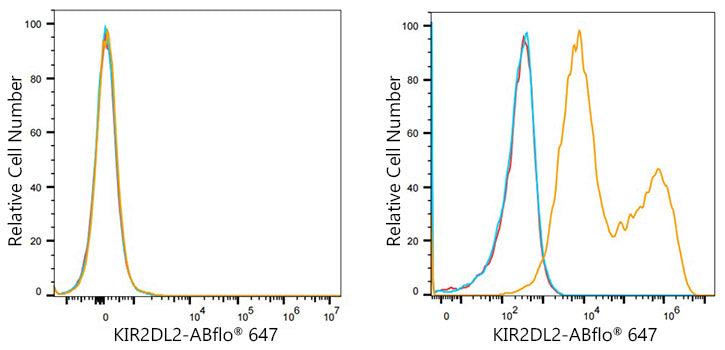 ABflo® 647 Rabbit anti-Human KIR2DL2/KIR2DL3 mAb
