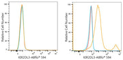 ABflo® 594 Rabbit anti-Human KIR2DL2/KIR2DL3 mAb