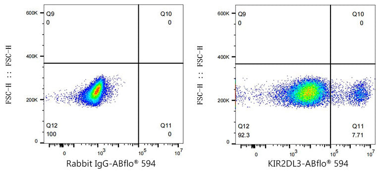 ABflo® 594 Rabbit anti-Human KIR2DL2/KIR2DL3 mAb