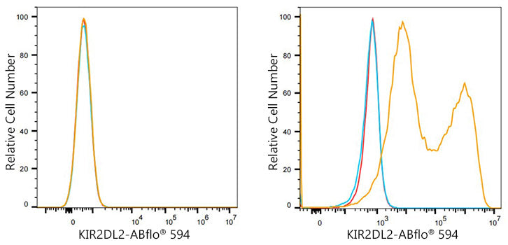 ABflo® 594 Rabbit anti-Human KIR2DL2/KIR2DL3 mAb