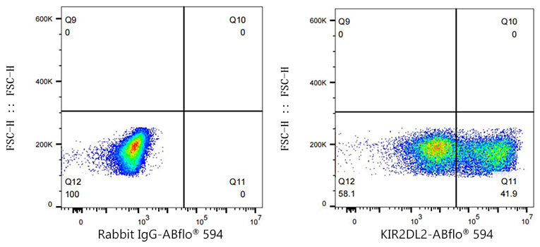 ABflo® 594 Rabbit anti-Human KIR2DL2/KIR2DL3 mAb