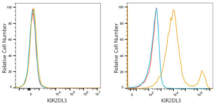 KIR2DL2/KIR2DL3 Rabbit mAb
