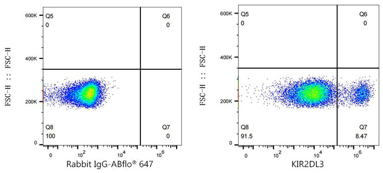 KIR2DL2/KIR2DL3 Rabbit mAb