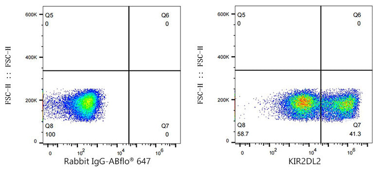 KIR2DL2/KIR2DL3 Rabbit mAb