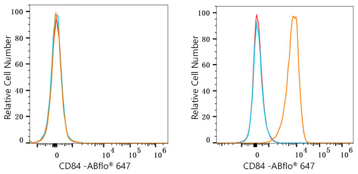 ABflo® 647 Rabbit anti-Human CD84 mAb