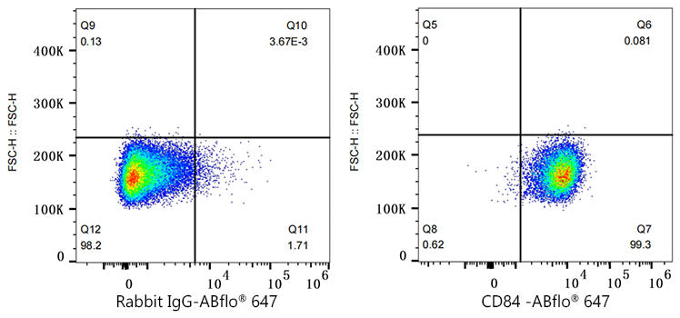 ABflo® 647 Rabbit anti-Human CD84 mAb